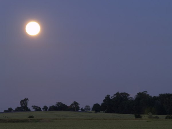 A Long, Dark&nbsp;Summer