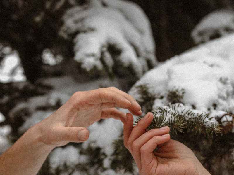 Presence, Alignment, Connection